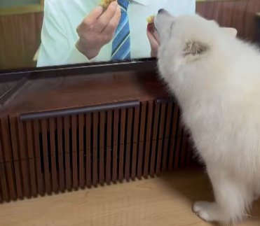 グルメ