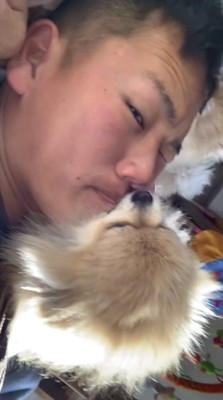 飼い主の顔を舐める犬