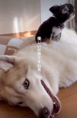 温かな絆にほっこり♡