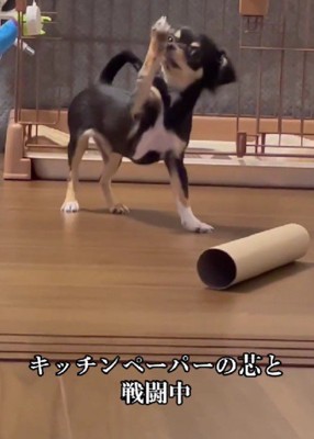 「前足って、こんなに上がるの…？？」