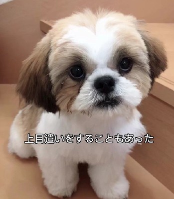 上目遣いがたまらない♡