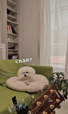 弾き語りを聴くメロンさん3