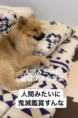 視線の先にあったのは…