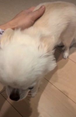 「おかえり!」