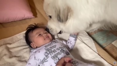 愛が止まりません…