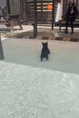 ルンルンのぶん太くん2