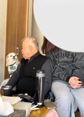 おじいちゃんと見つめ合う犬