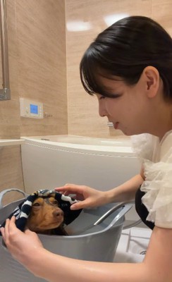 優雅にリラックス♡