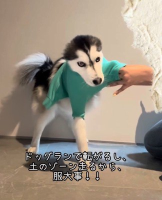 さらに細くなっていく