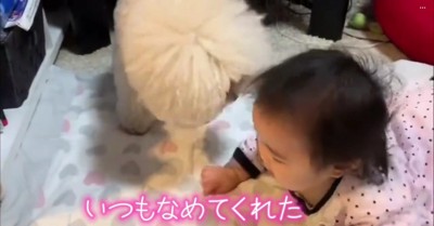「大丈夫だよ」