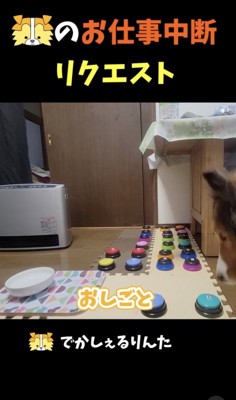 ボタンを押すりんたくん