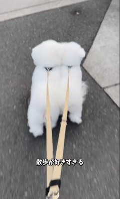 似すぎているおうじ君&あんじちゃん4