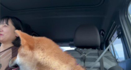 投稿主さんもクスッ