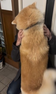 健くんの熱烈歓迎⑩