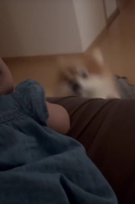 「ジャンプなら出来るよ!」