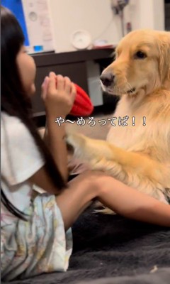 女の子とシンバくんのやり取り5