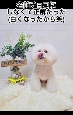 名前は「ぷぷ」です♡