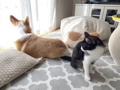 寄り添って過ごす