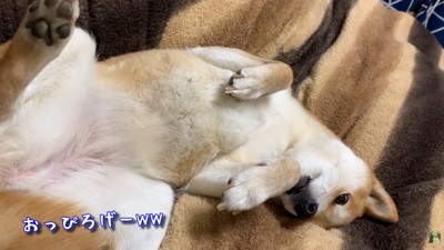 無防備な姿が可愛い!
