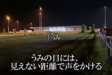 遠くからママが呼んでいた♡