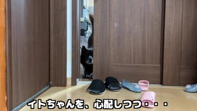 子煩悩な一休さんでした