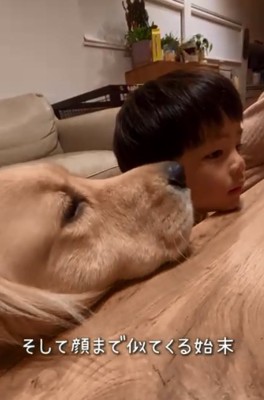 顔が似てきたふたり