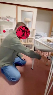 犬に手を近づける男性