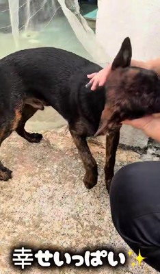 幸せになれてよかった