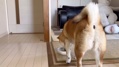 約束、守ってくれました