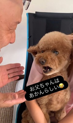 ドルくんの家族への態度の差9