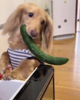 しばらく様子を眺めていると…