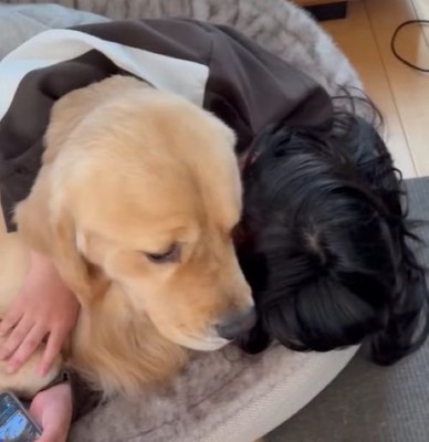 心配そうなお顔