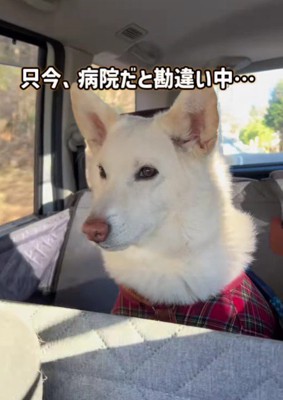 病院へ行くと勘違い