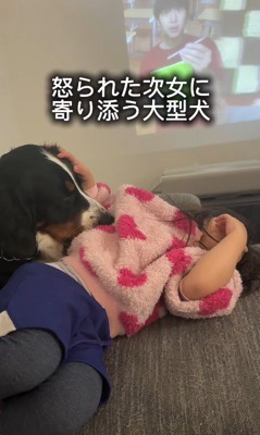 「大丈夫?元気出して」とペロペロ…