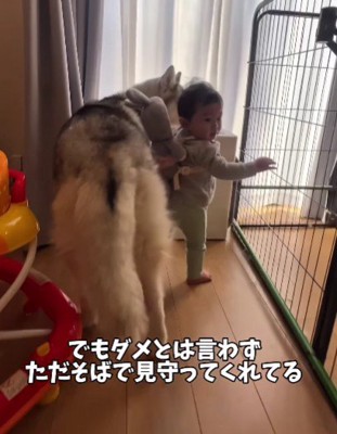 スノウちゃんのおかげで冒険できる♪