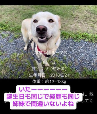 見つかったもなかちゃん