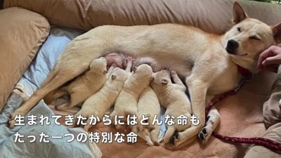 たくさん頑張ったね