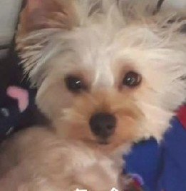 何色でも可愛いね♡