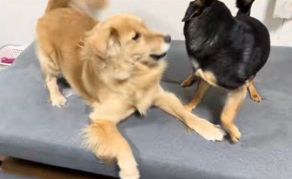 現在はレベルアップ！？