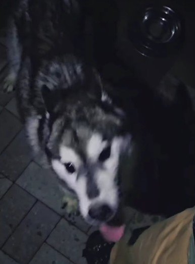 鎖に繋がれたまま…