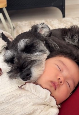 幸せそうな寝顔♪