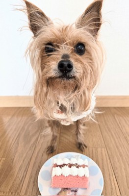 10歳