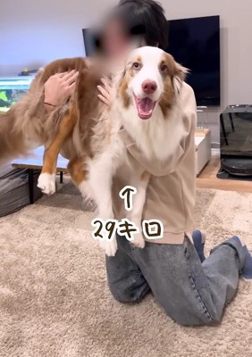 大きな赤ちゃん2人目♡