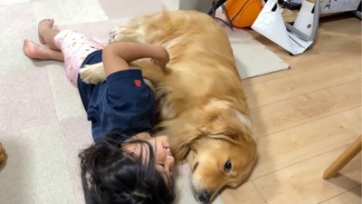 添い寝する犬