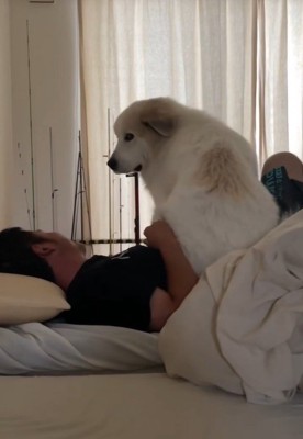 お腹の上にお座り♡