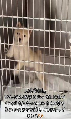 何度も面会に行ったそう