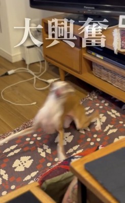 目にも止まらぬ速さの動き