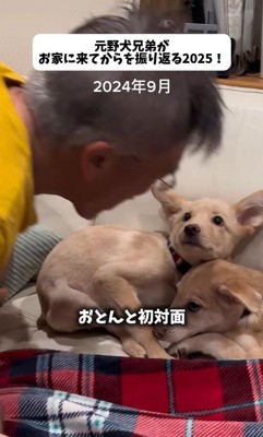 最初はご家族を怖がっていた2匹