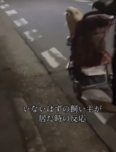 「待って！ちょっと止まって！！」