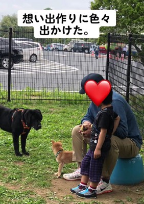 思い出作りに勤しむ